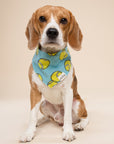 Fetch Dog Bandana