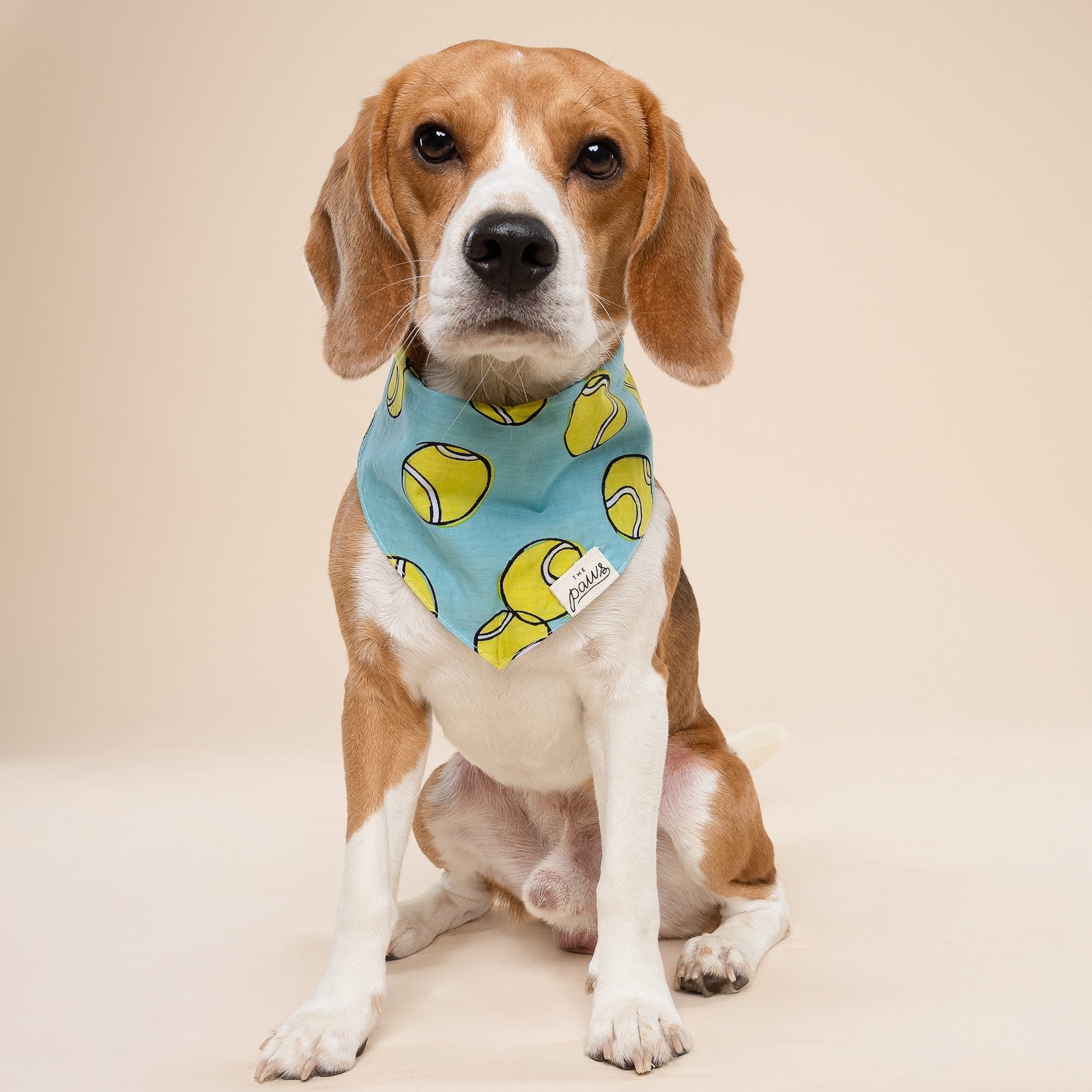 Fetch Dog Bandana