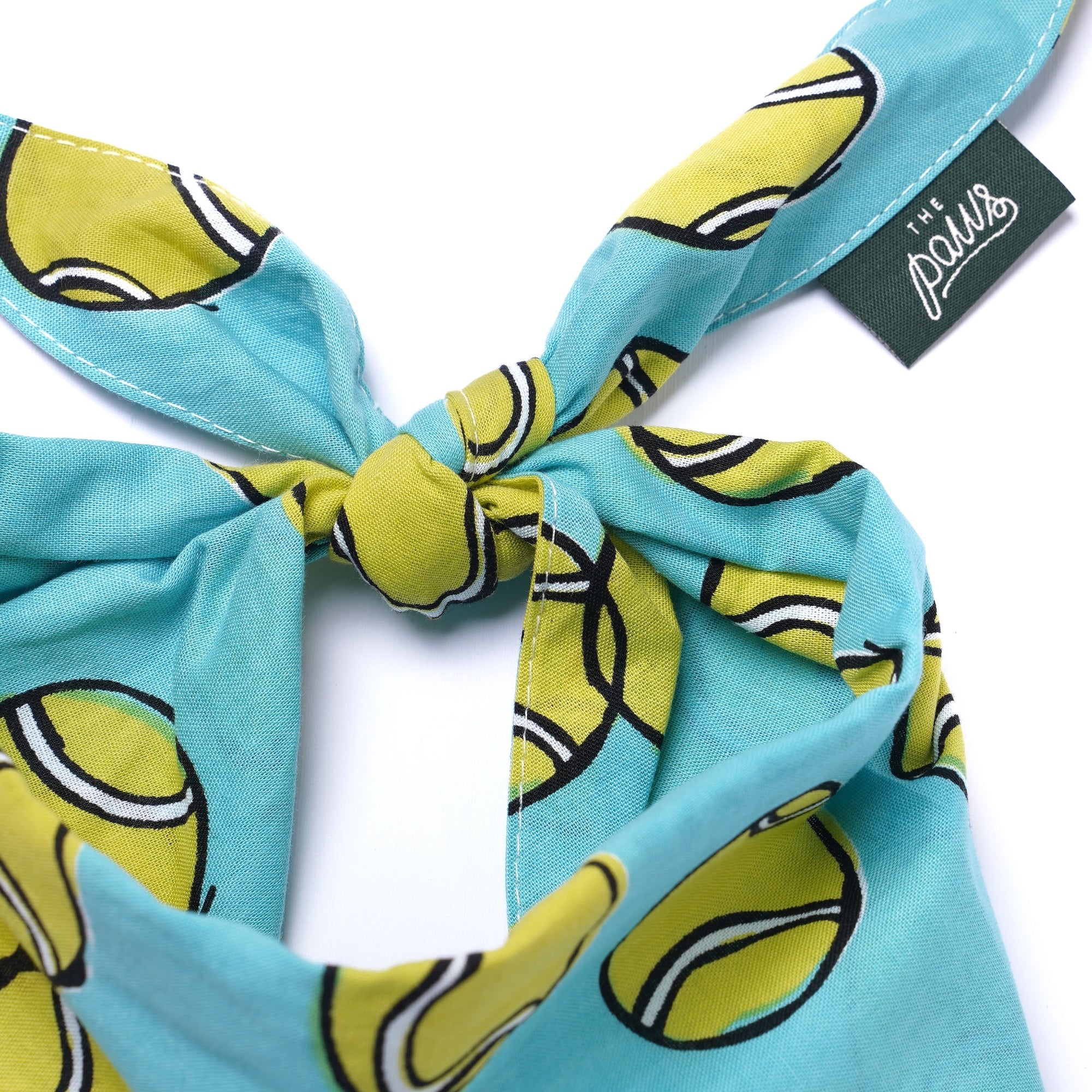 Fetch Dog Bandana