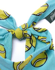 Fetch Dog Bandana