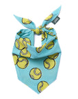 Fetch Dog Bandana