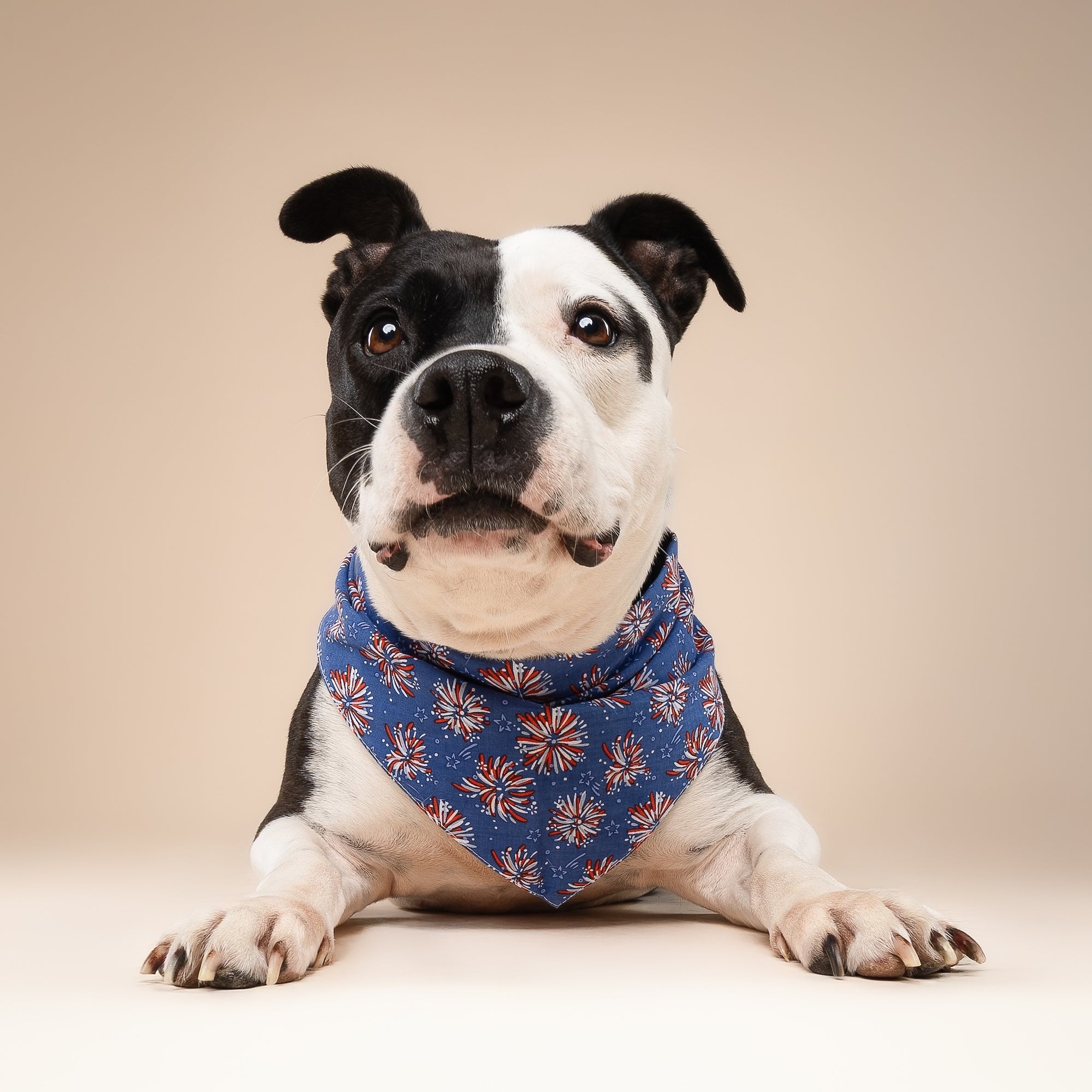 3 Pack of 4th of July Dog Bandanas