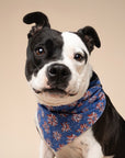 Firecracker Dog Bandana