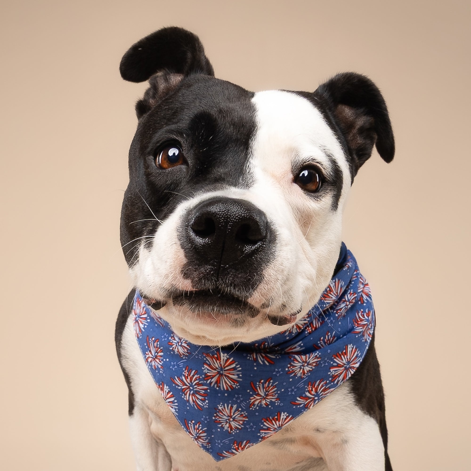 3 Pack - Patriotic Summer Dog Bandanas