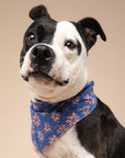 Firecracker Dog Bandana