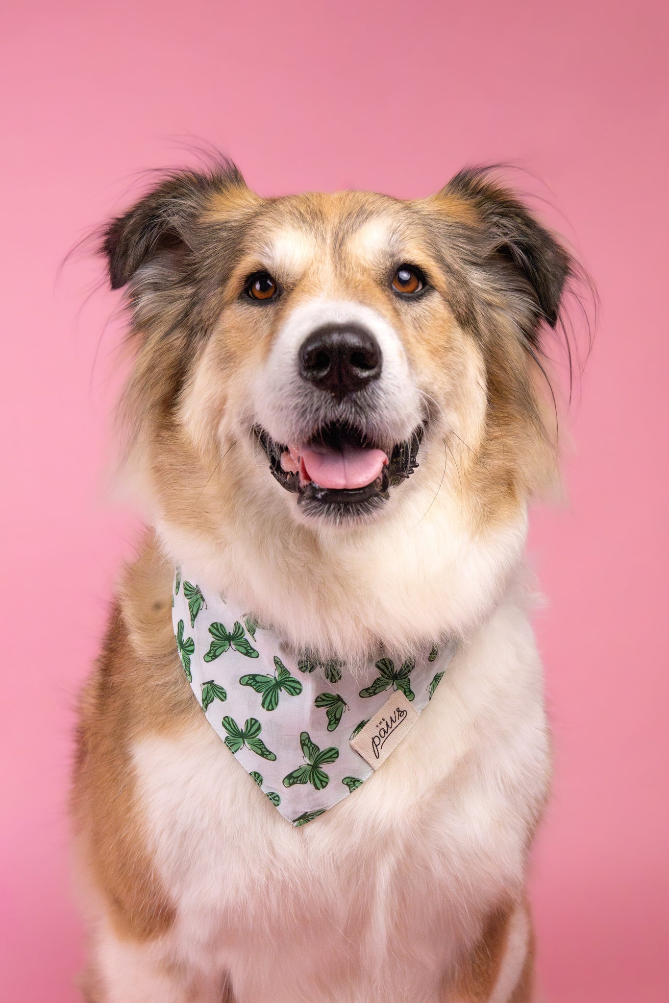 Florence Dog Bandana