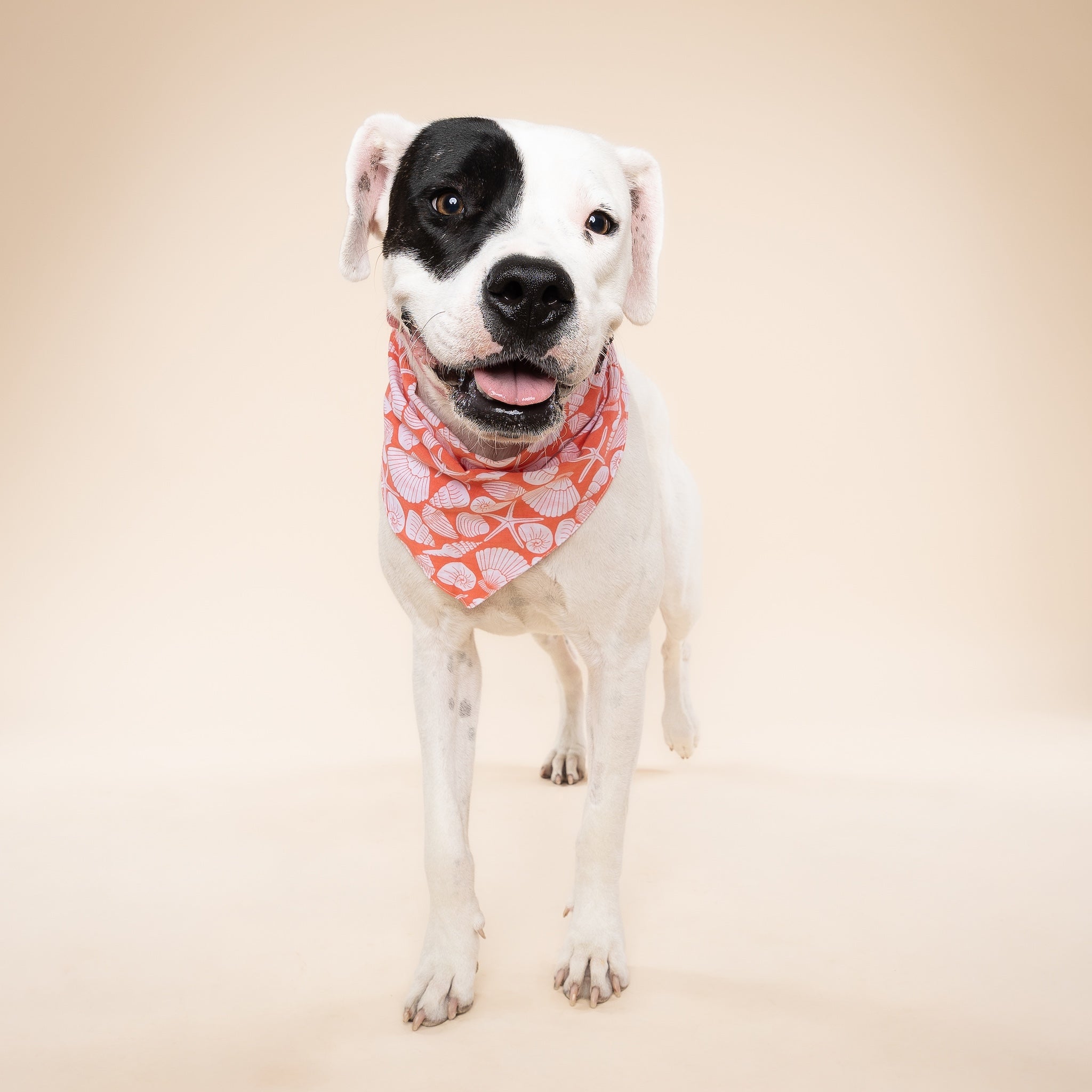 Flores Dog Bandana