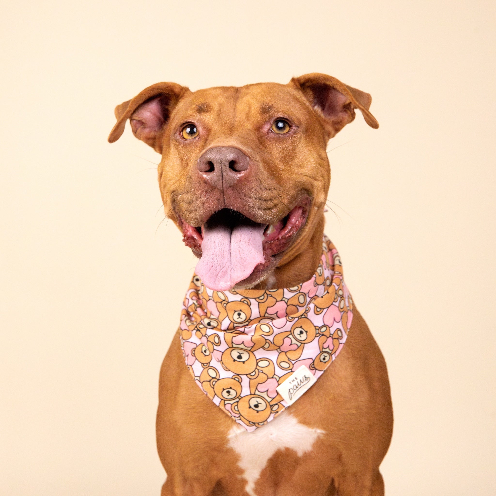 Fluff Dog Bandana