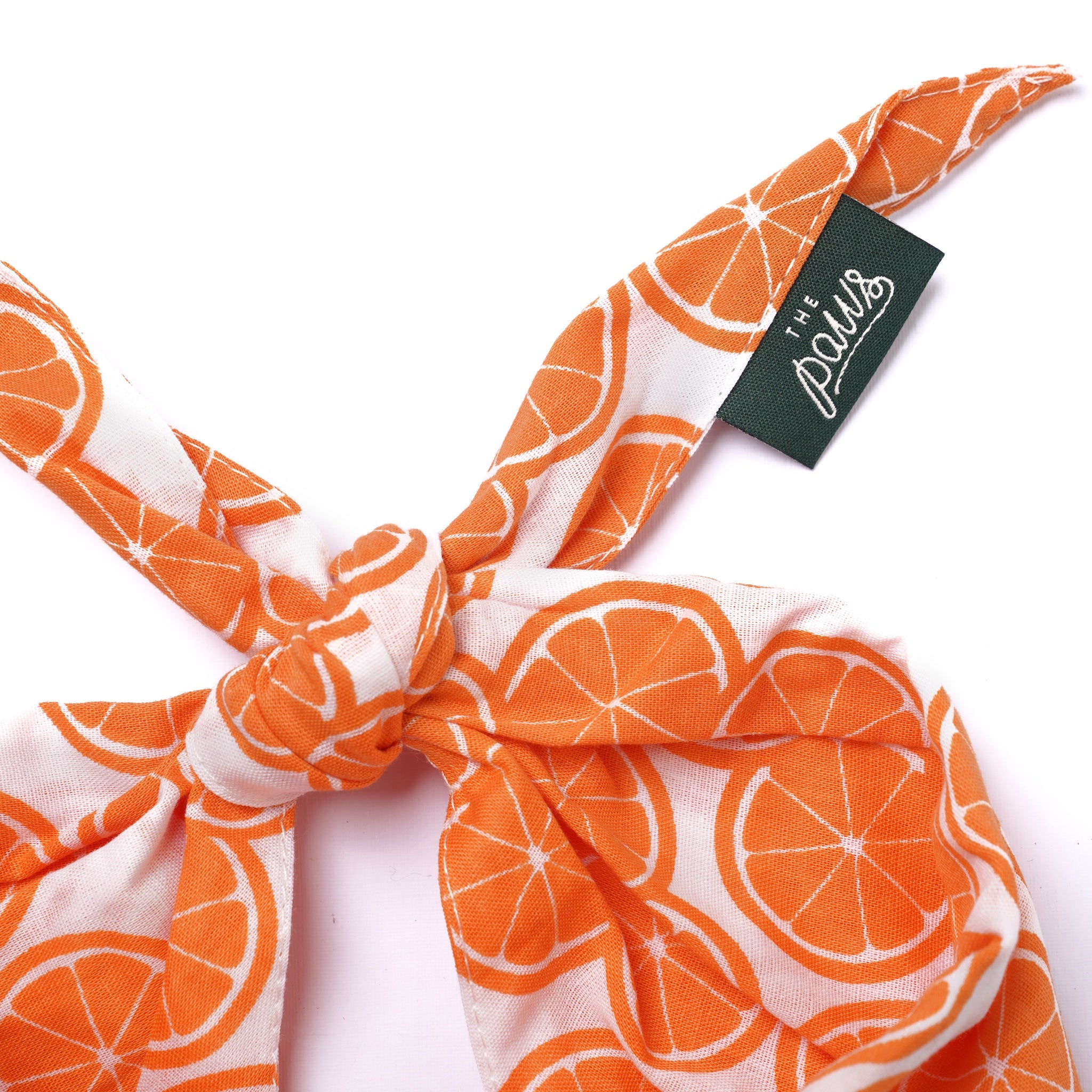 Fresh Slice Dog Bandana