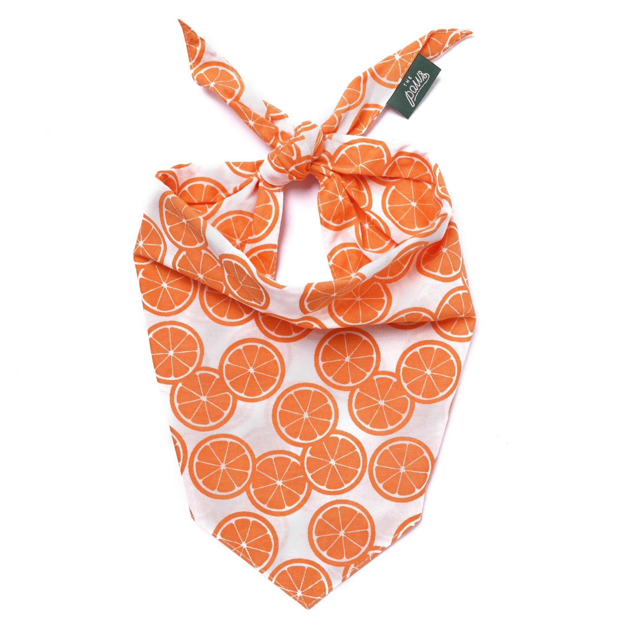 Fresh Slice Dog Bandana