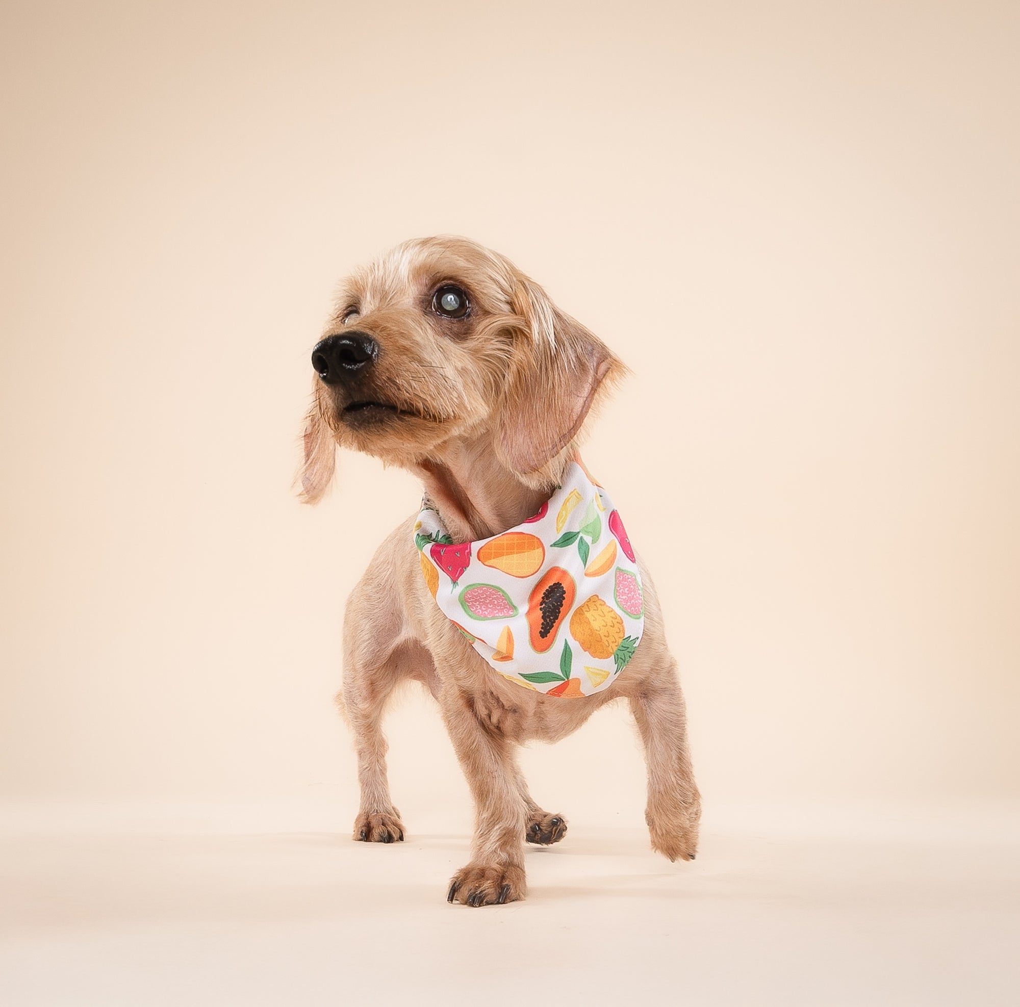 Fruity Cooling Bandana