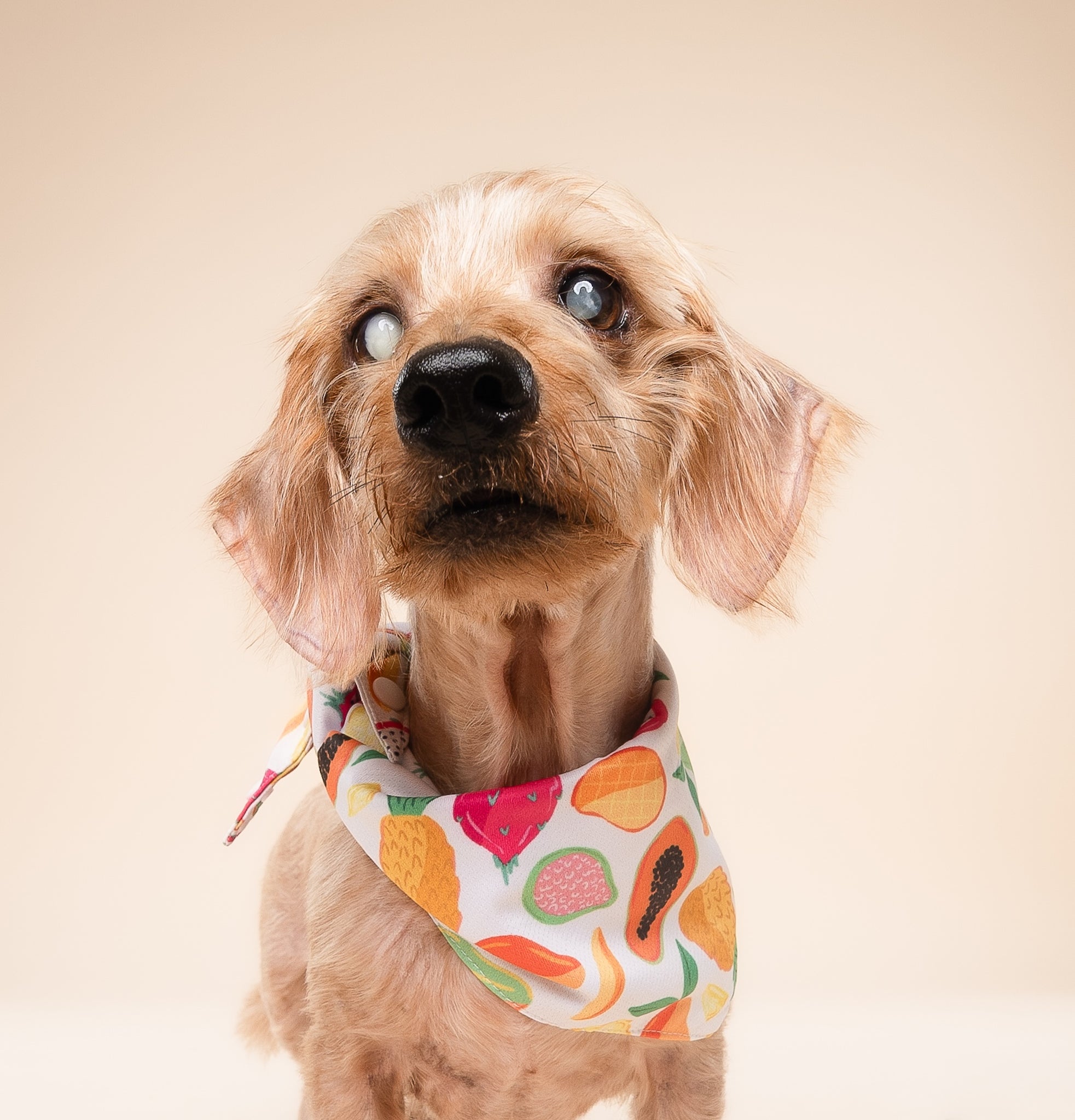 Fruity Cooling Bandana