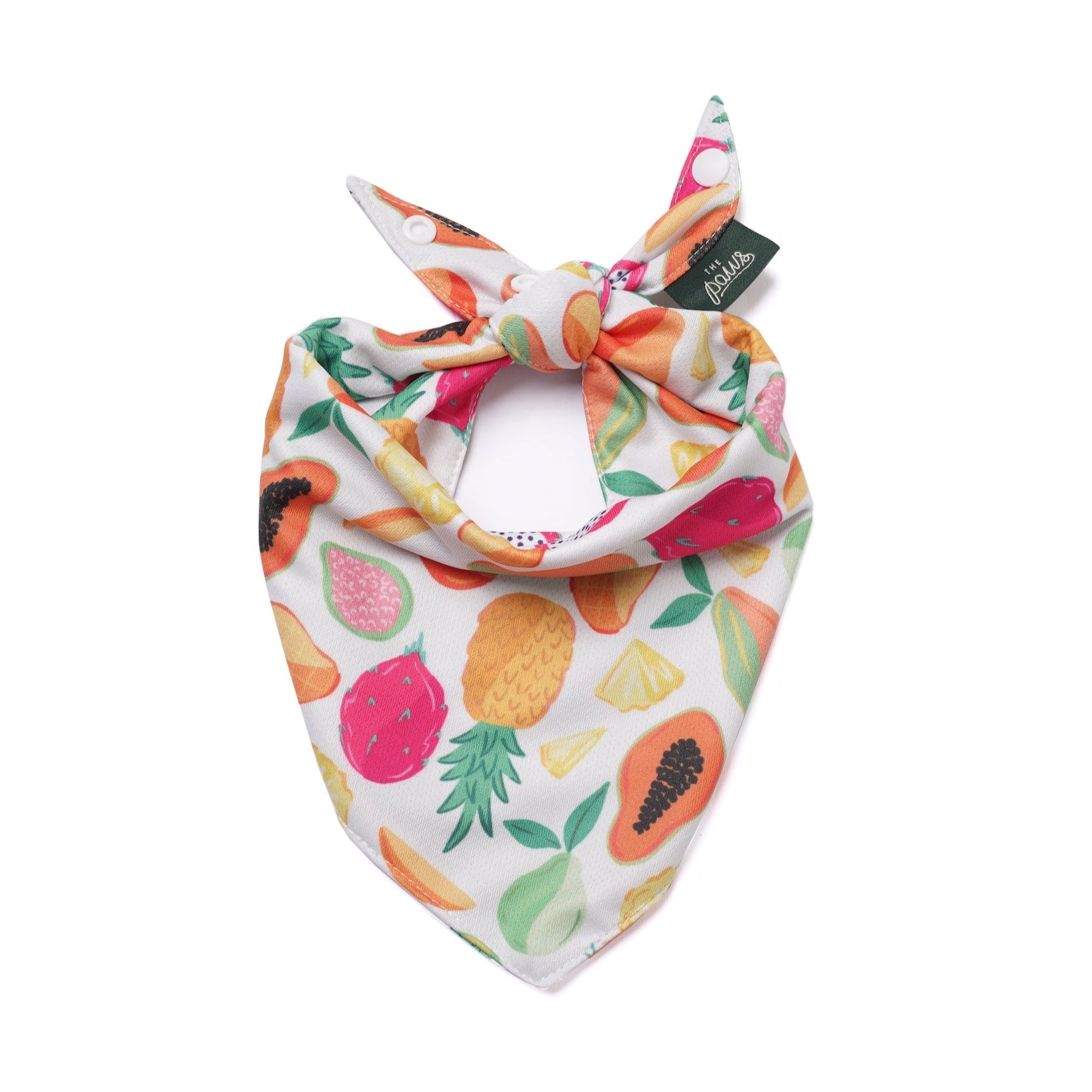 Fruity Microdot Cooling Dog Bandana from The Paws