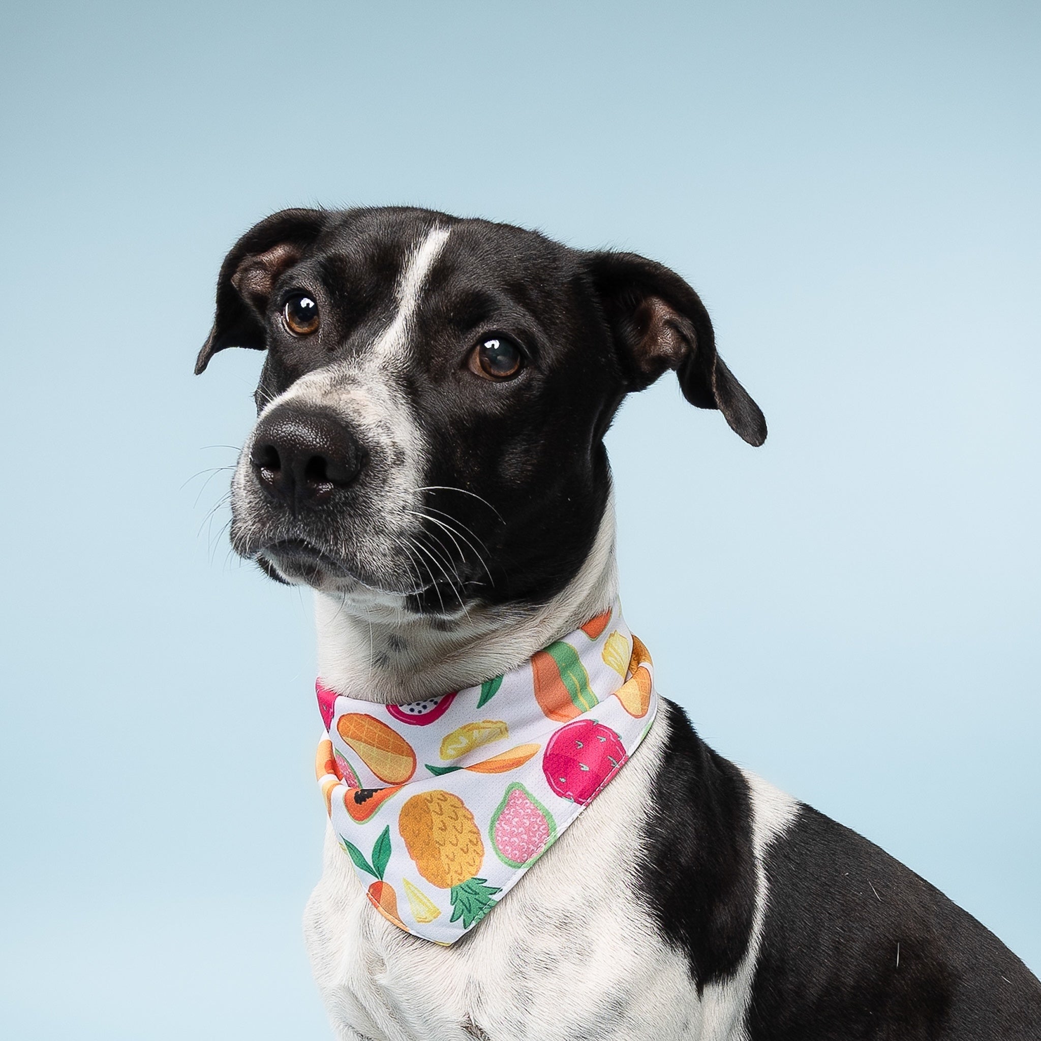 Fruity Cooling Bandana