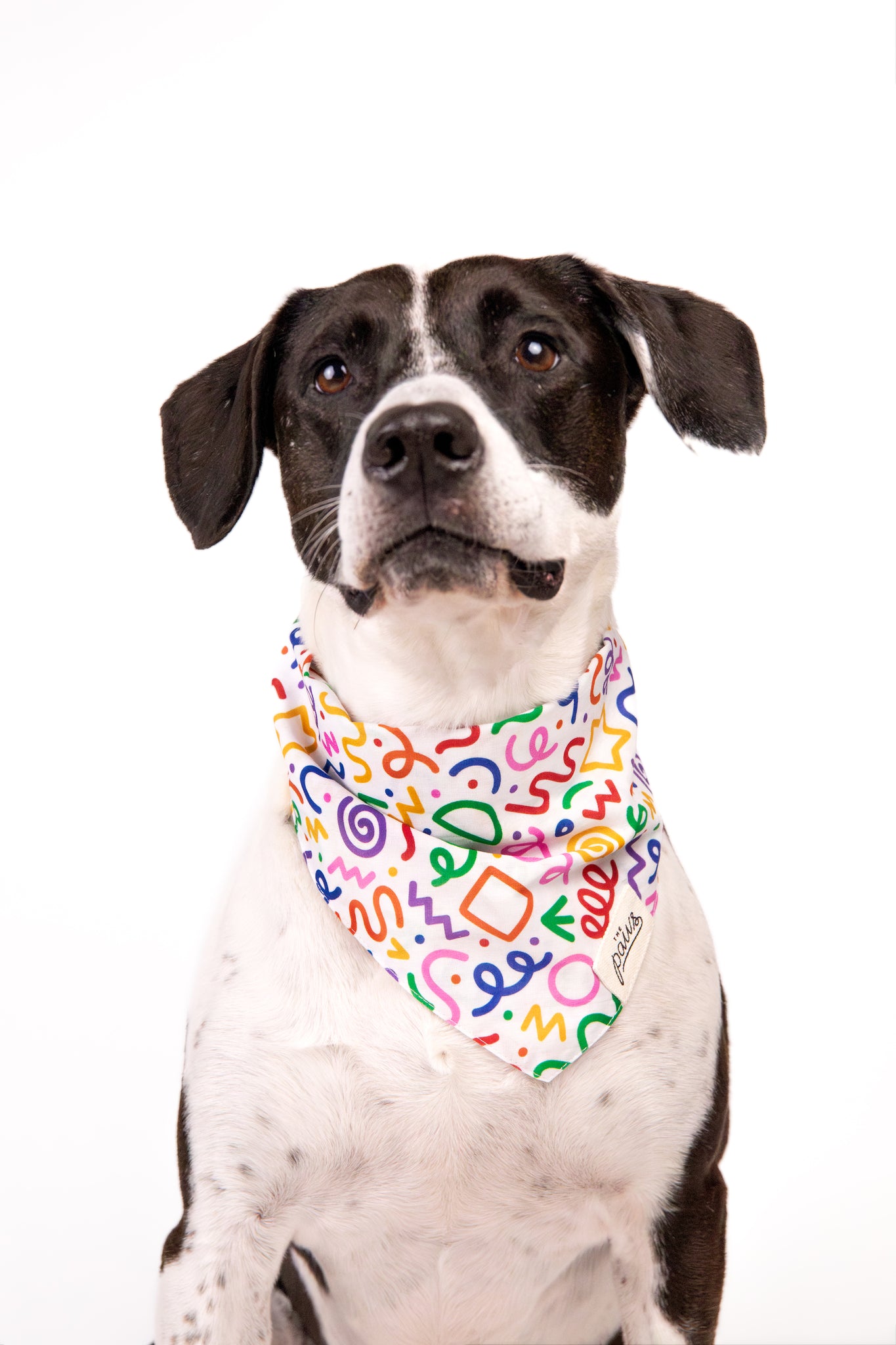 Fun Dog Bandana