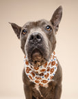 Game Day Dog Bandana