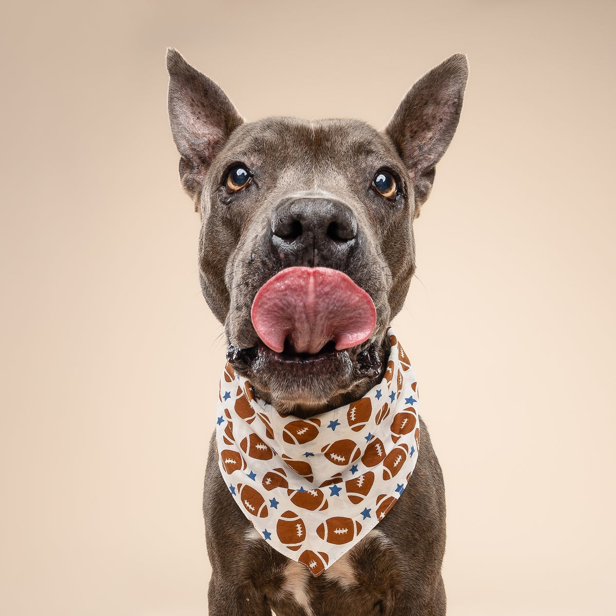 Game Day Dog Bandana