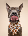 Game Day Dog Bandana