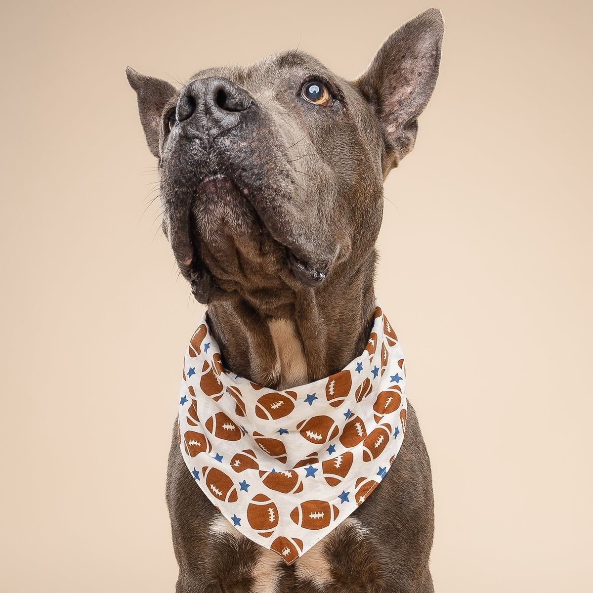 Game Day Dog Bandana