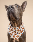 Game Day Dog Bandana