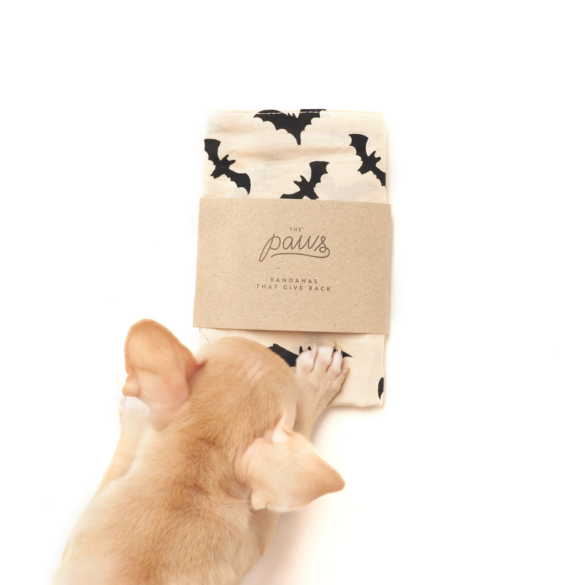 Getting your paws on The Paws