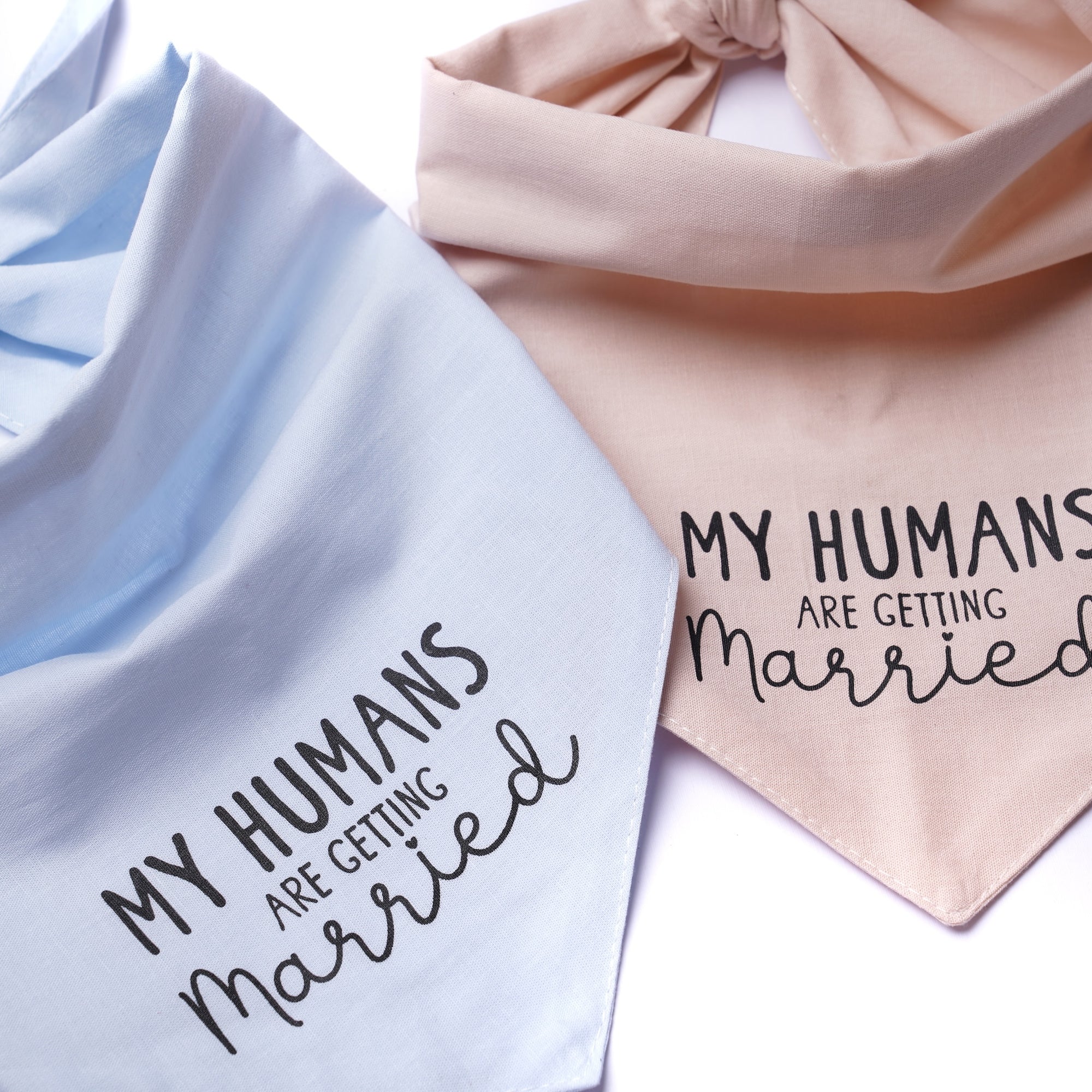 Getting Married Pink Dog Bandana