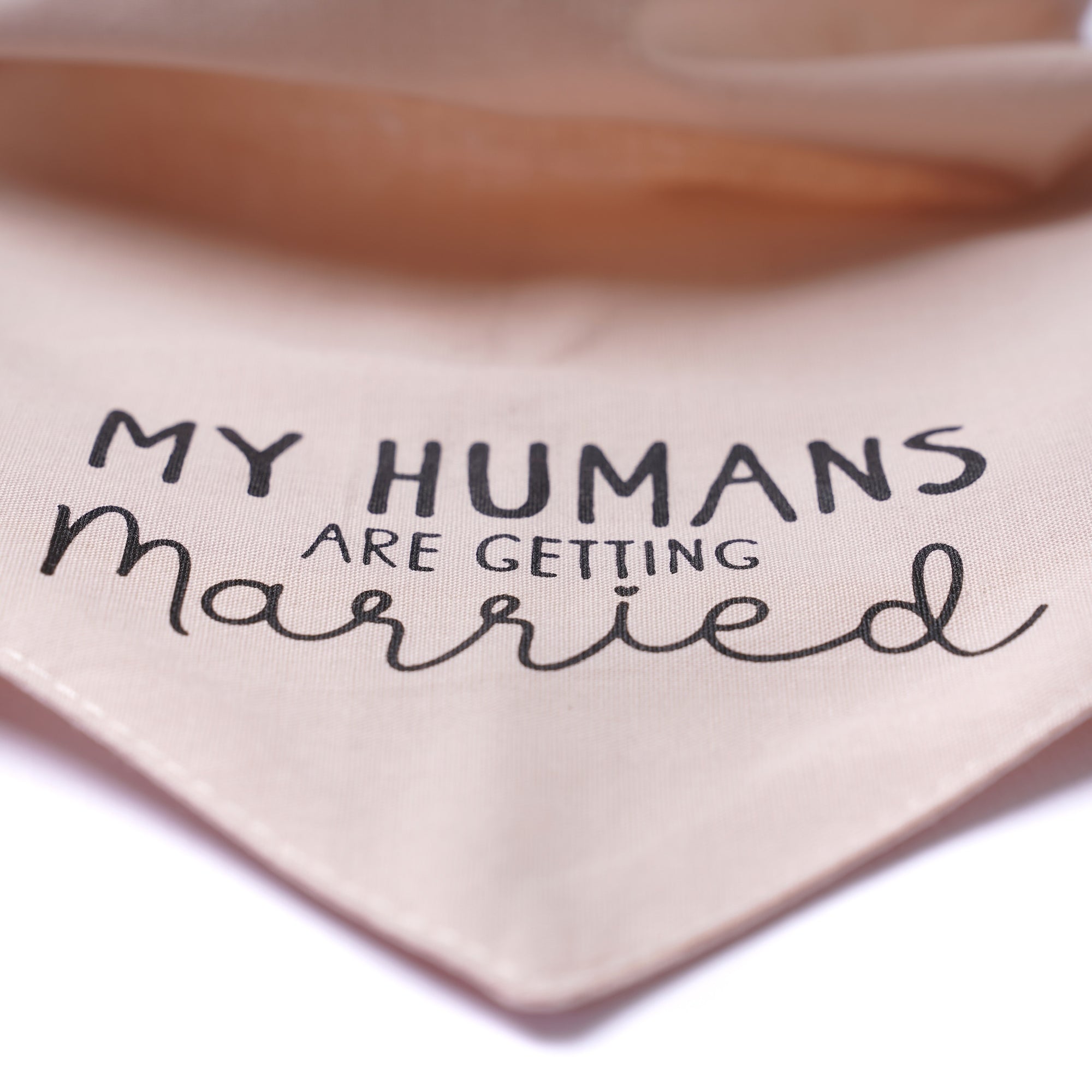 Getting Married Pink Dog Bandana