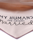 Getting Married Pink Dog Bandana
