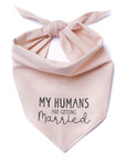 Getting Married Pink Dog Bandana