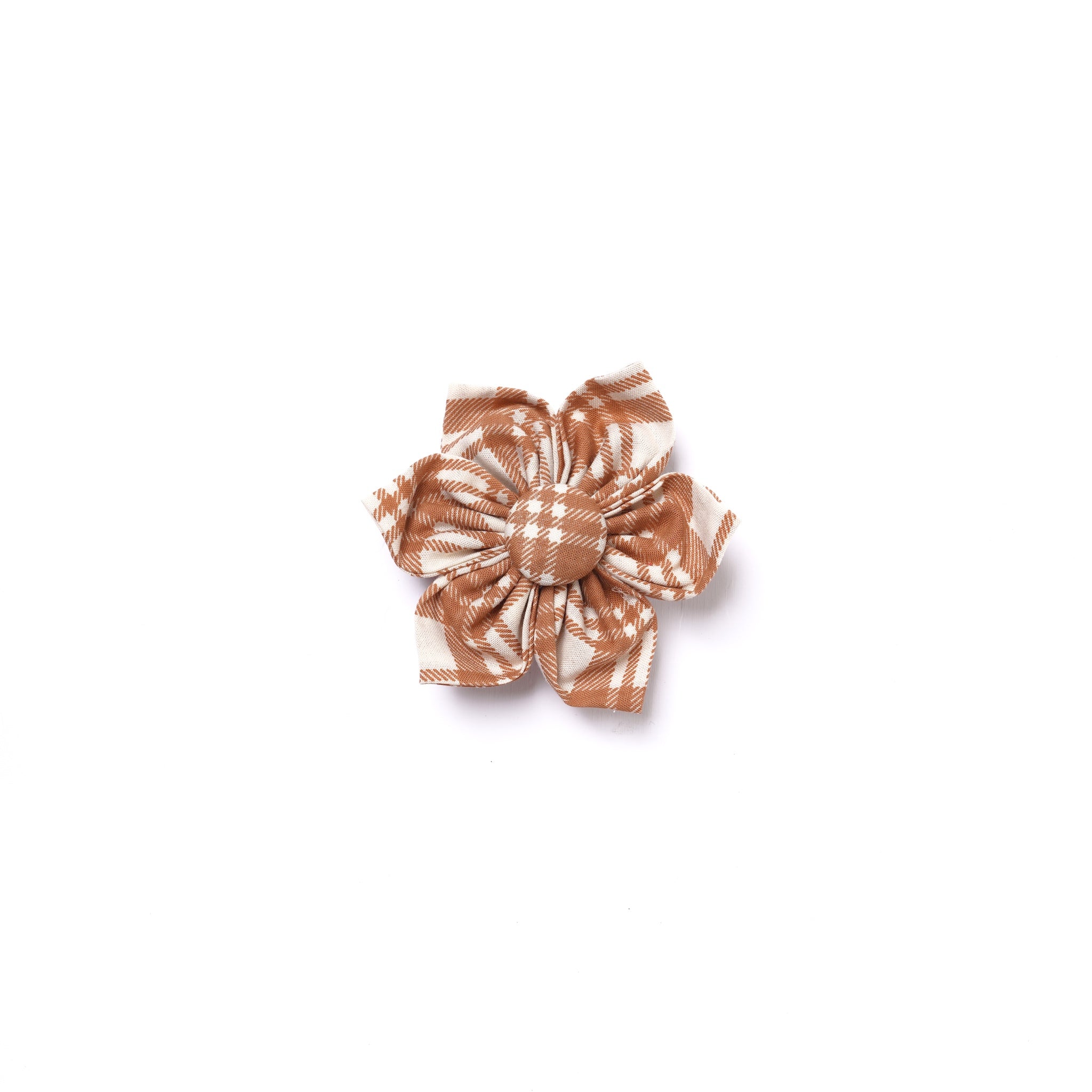 Ginger Collar Flower from The Paws