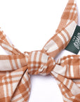 Ginger Dog Bandana from The Paws