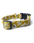 Golden Dog Collar