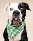 Green Gingham Dog Bandana