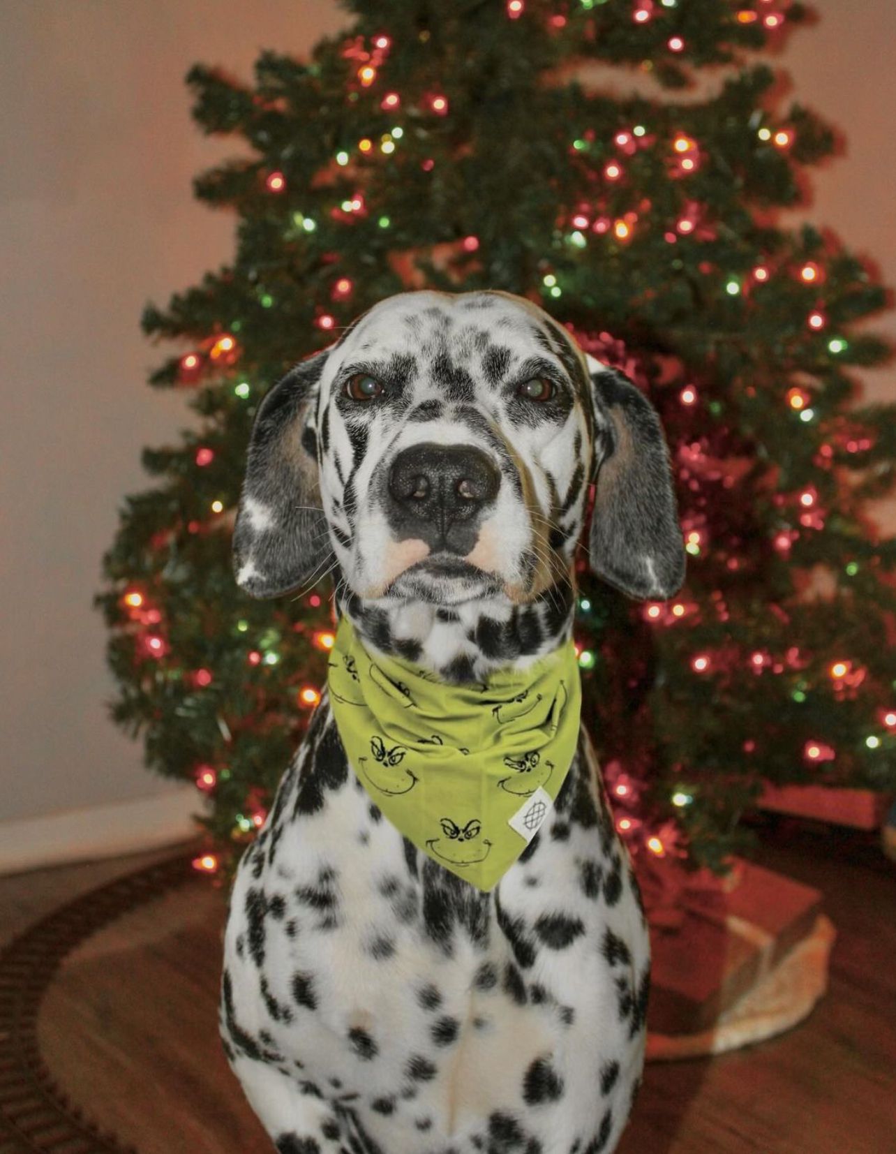 Grinch Dog Bandana