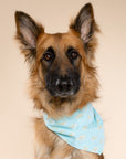 Guppy Dog Bandana