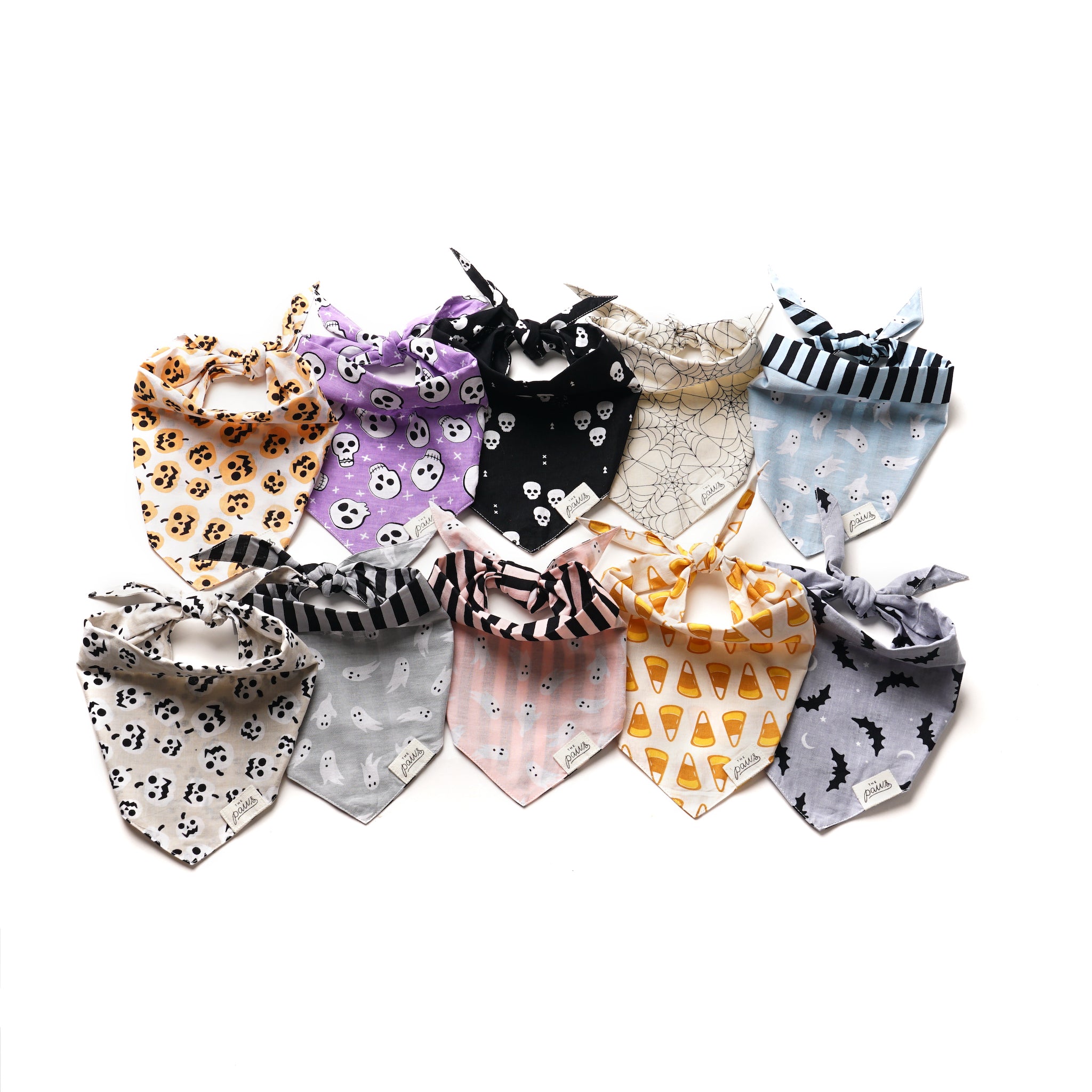 Tricks Dog Bandana