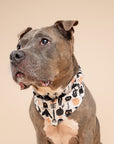 Hallows Eve Dog Bandana