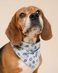 Hanukkah Dog Bandana