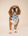 Hanukkah Dog Bandana