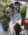 Harbour Bandana from The Paws