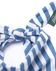 Harbour Dog Bandana