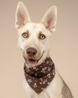 Hazel Dog Bandana