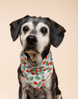 Henley Dog Bandana
