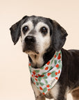 Henley Dog Bandana
