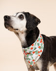 Henley Dog Bandana
