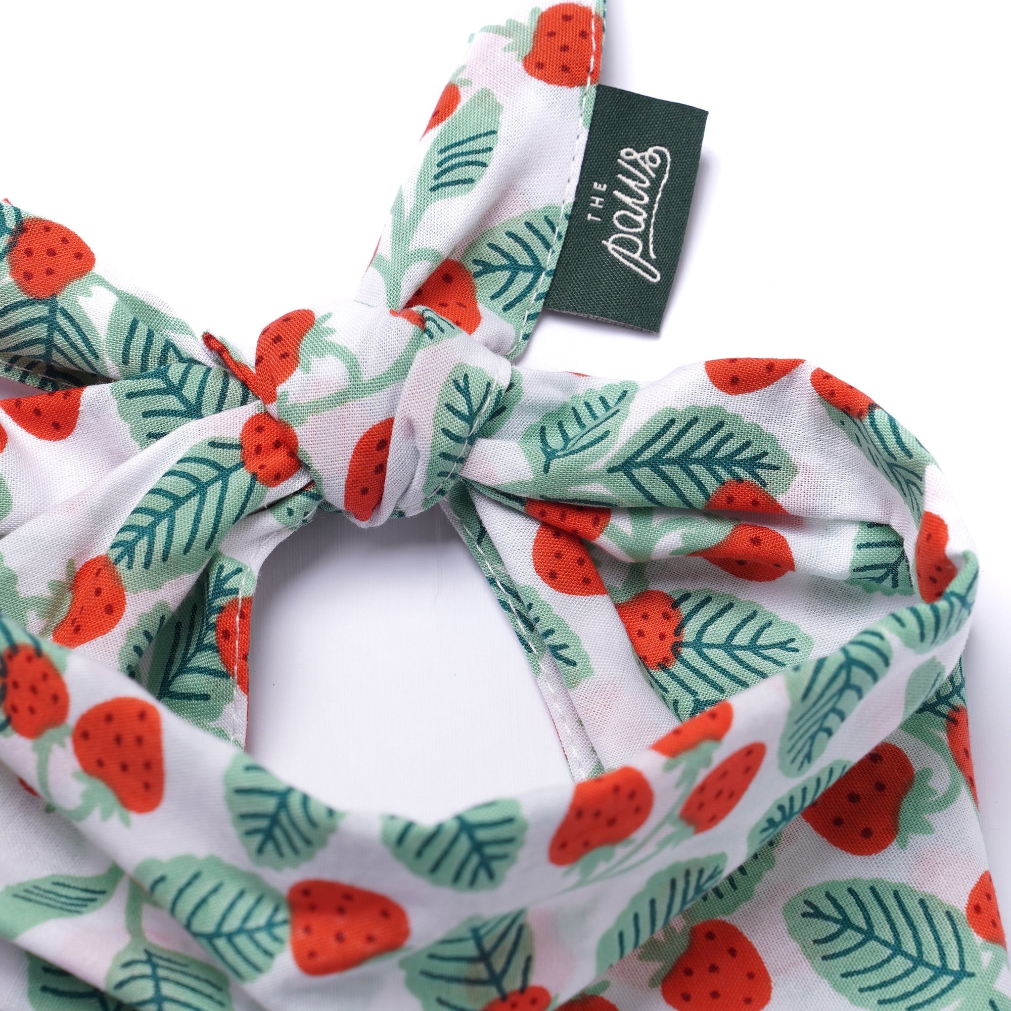 Henley Dog Bandana