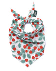 Henley Dog Bandana