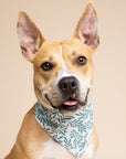 Holly Dog Bandana detail from The Paws