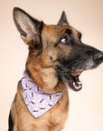 Honey Bees Dog Bandana