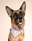 Honey Bees Dog Bandana